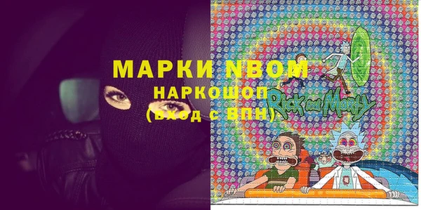 прущие грибы Инта
