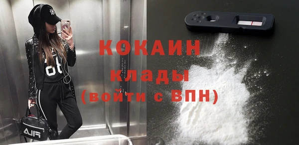 стафф Ельня